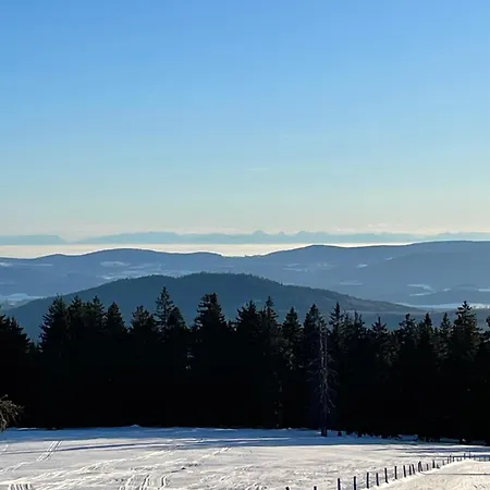 Hollerberg 2 Lejlighed *