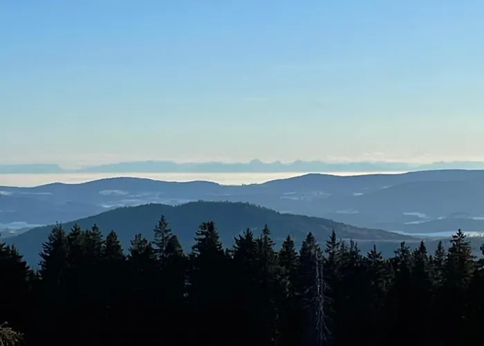 Hollerberg 2 Daire *